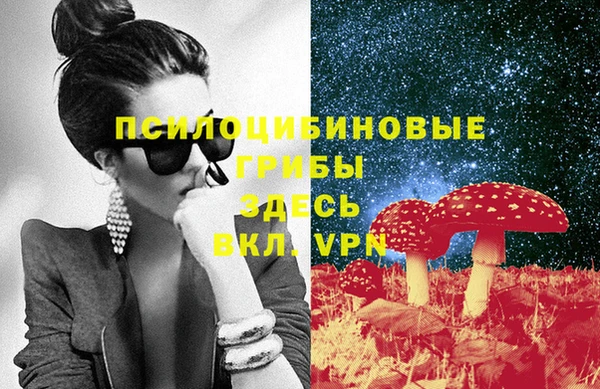 apvp Алексин