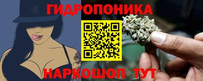 a pvp Рыбинск
