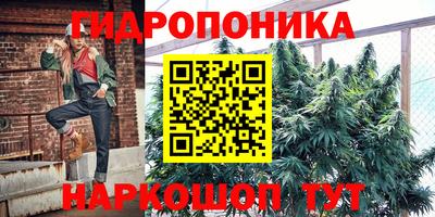 a pvp Рыбинск