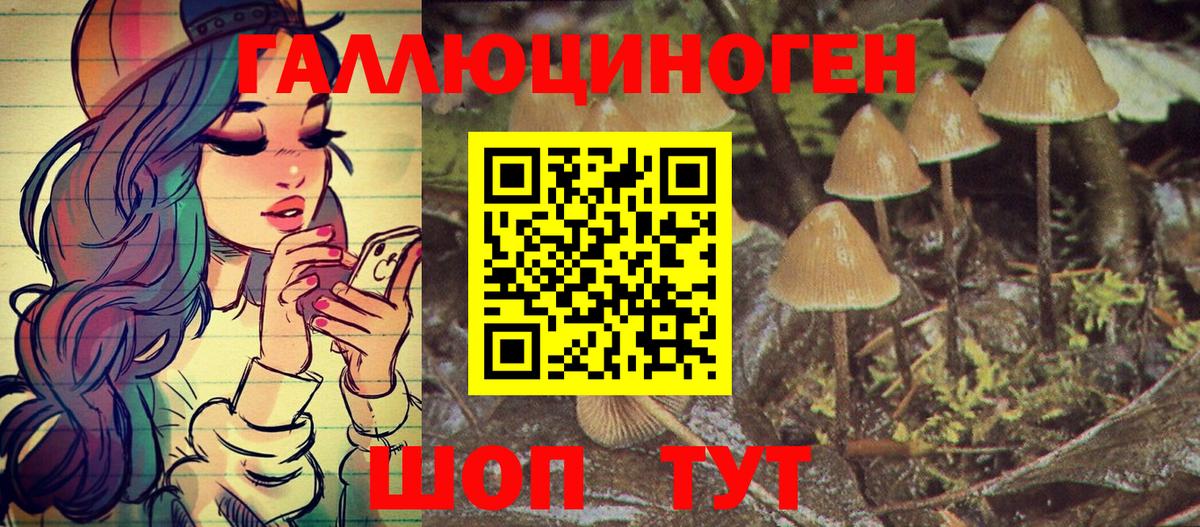 Псилоцибиновые грибы MAGIC MUSHROOMS  Вход с VPN  купить  сайты  Сорочинск  Галлюциногенные грибы Psilocybe 